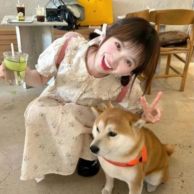 热播榜单